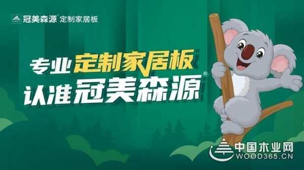 官方认可！冠美森源登陆《八桂新风采》栏目！