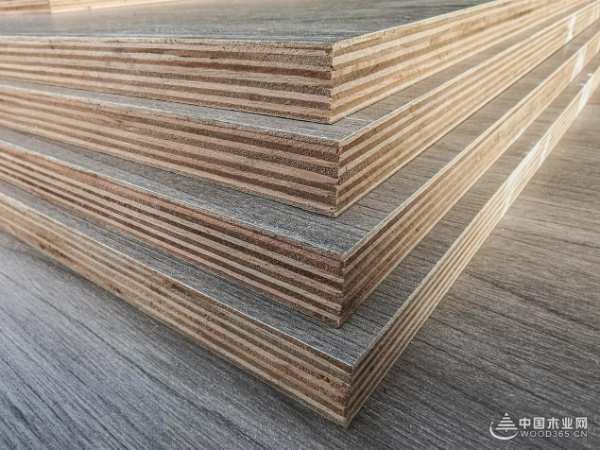 再获殊荣 强一木业通过“中国环境标志产品”等权威认证