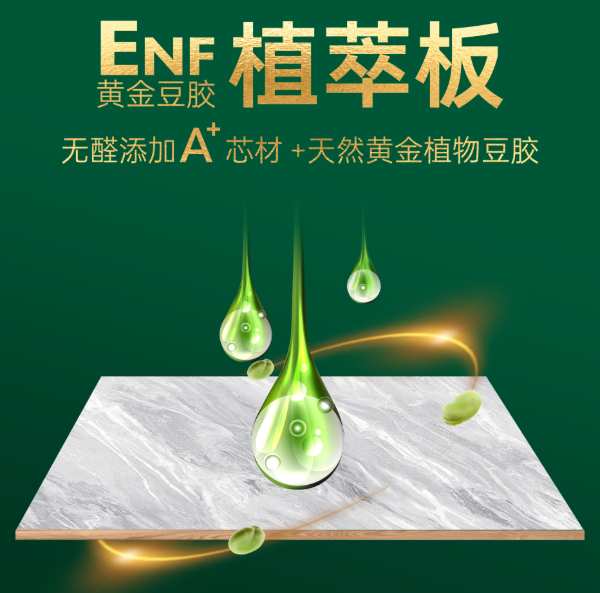 金利源实力参与ENF级国标制定，抢先布局ENF产品赛道