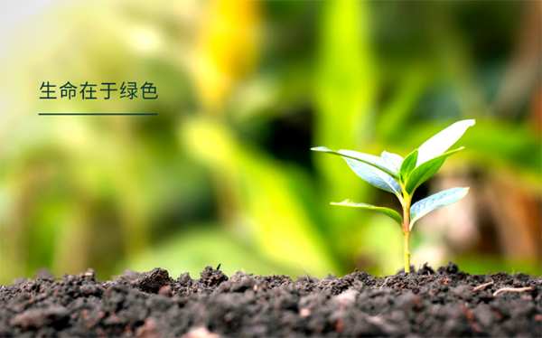 发力双碳，韩氏健康板材成为碳足迹国家创新联盟发起单位