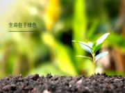 发力双碳，韩氏健康板材成为碳足迹国家创新联盟发起单位