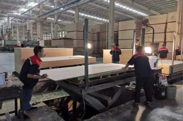 康贝德木业：铆足干劲抓生产推建设