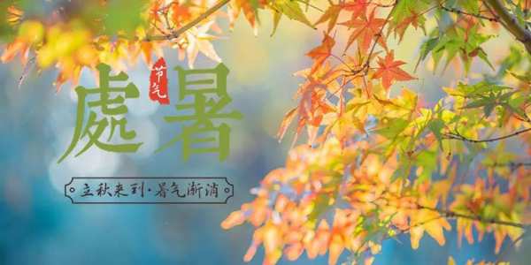安氏亚森板材 | 处暑到，装修起，从优质板材开始