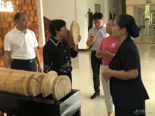 广西德保县政协副主席一行莅临重点龙头企业壮象集团参观考察