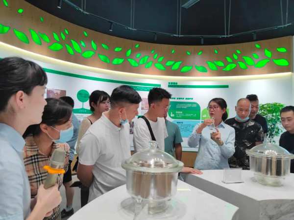合肥地区家具厂合作伙伴至兔宝宝游学