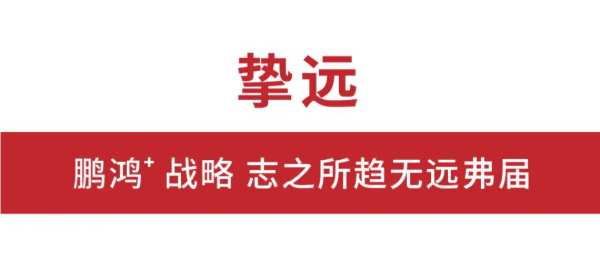 挚向鼎峰 | 鹏鸿25周年盛典，为家而绽，为“+”而战
