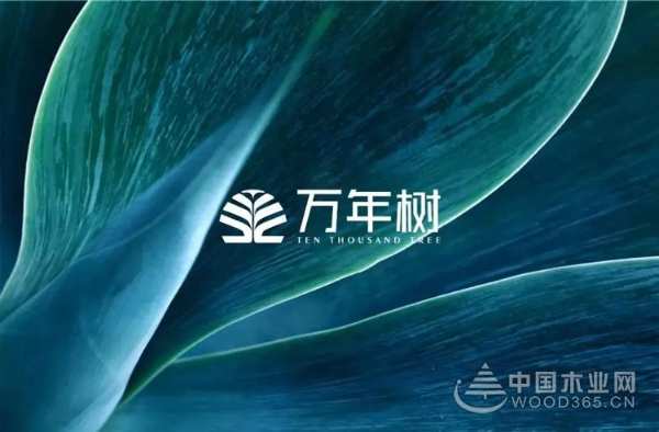 实力强劲 金利源荣膺金匠榜生态板奖项