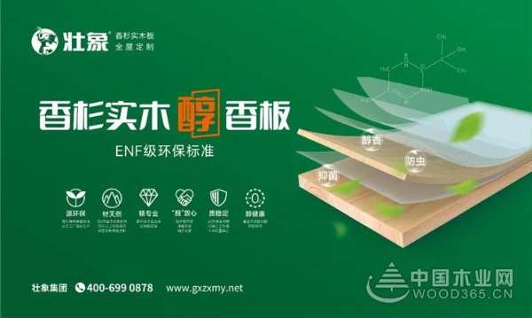 创新不止 壮象木业揽获2022金匠榜三项荣誉