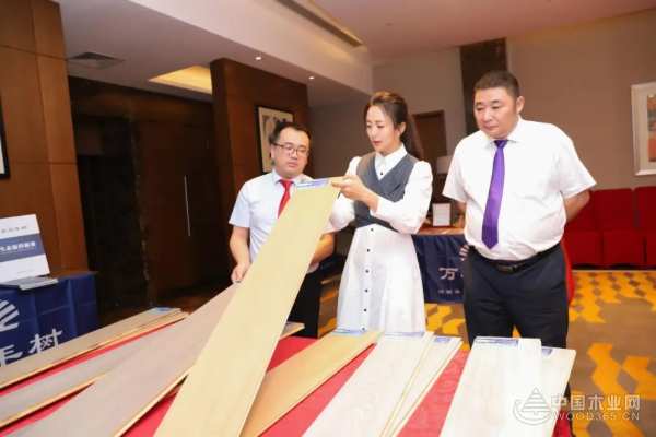 高歌猛进 万年树荣获金匠榜“消费者信赖十大品牌”