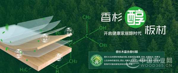 再下一城 壮象福建屏南全屋定制门店正式开业