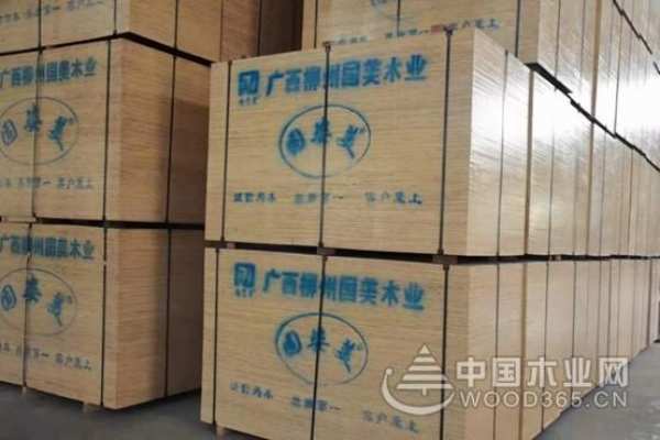 二十载栉风沐雨砥砺奋进  固姿美行稳致远凯歌前行