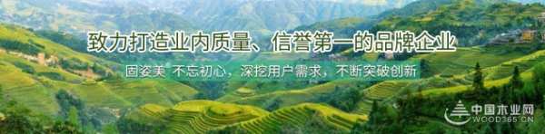 二十载栉风沐雨砥砺奋进  固姿美行稳致远凯歌前行