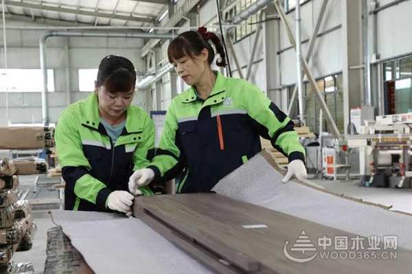 实力出圈，壮象开启香杉家居醇健康时代！