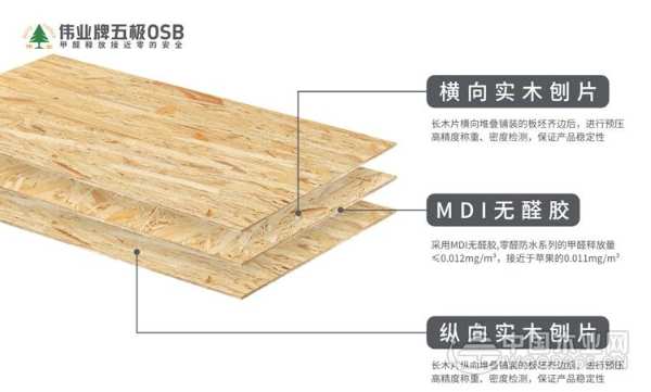 品质助力伟业打造板材行业“六边形战士”
