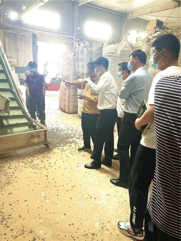 辽宁盘锦大洼区副区长王磊莅临芦花板材公司考察