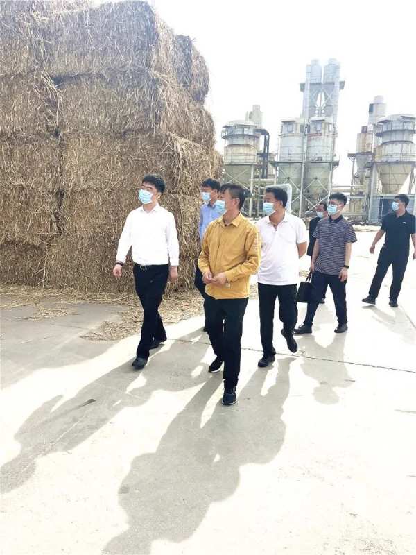 辽宁盘锦大洼区副区长王磊莅临芦花板材公司考察