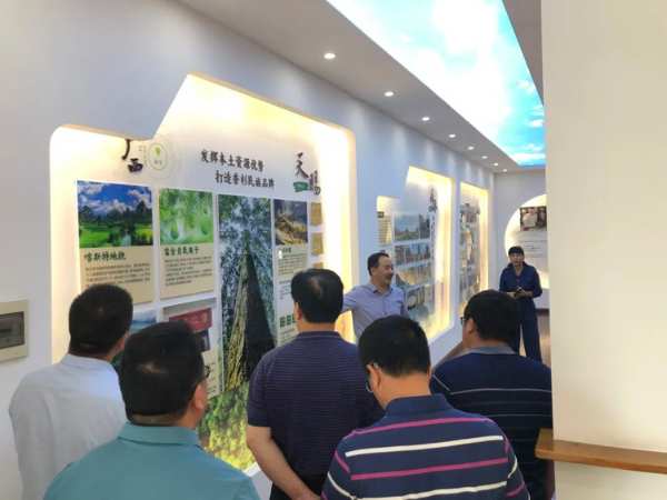 鹿寨县领导调研壮象林业产业高质量发展