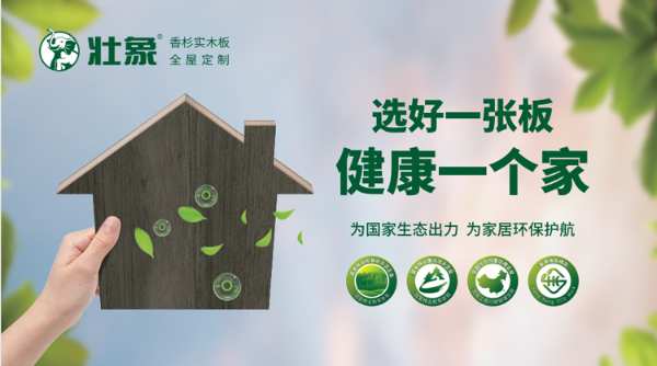 鹿寨县领导调研壮象林业产业高质量发展