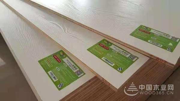 精雕细琢 二十余年匠心品质成就今日雪岭