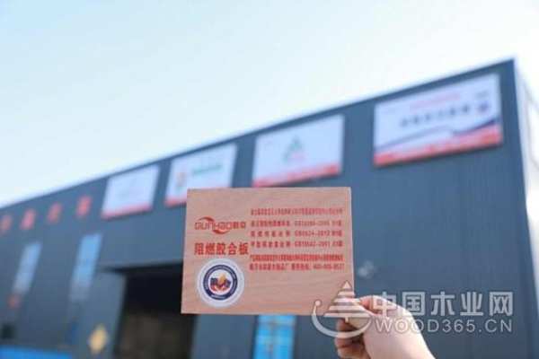 防患于未“燃” 群豪木业高质量发展迈出大步伐