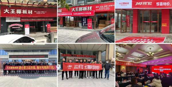 520温暖爱心季丨大王椰携手国羽，千万补贴加速市场回暖