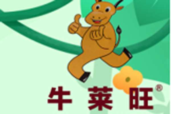 十大环保板材
