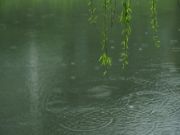 “春季多雨水，地板受潮怎么办？”兔宝宝教你8招轻松解决！