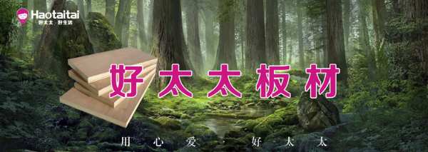 品牌与品质齐发展 好太太战略赋能勇往直前