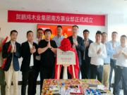 新跨越 向未来 | 鹏鸿木业集团南方销售事业部揭牌成立
