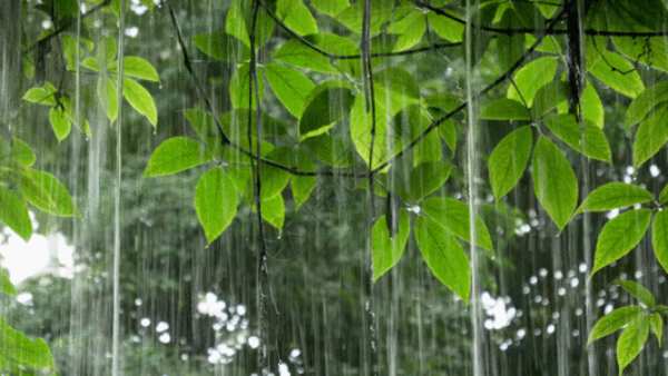 清明时节雨纷纷，木柜防潮「芯」技能！