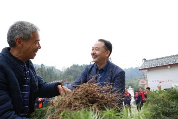 十大品牌壮象努力践行 爱绿 植绿 护绿