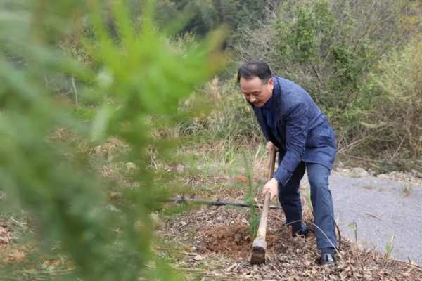 十大品牌壮象努力践行 爱绿 植绿 护绿