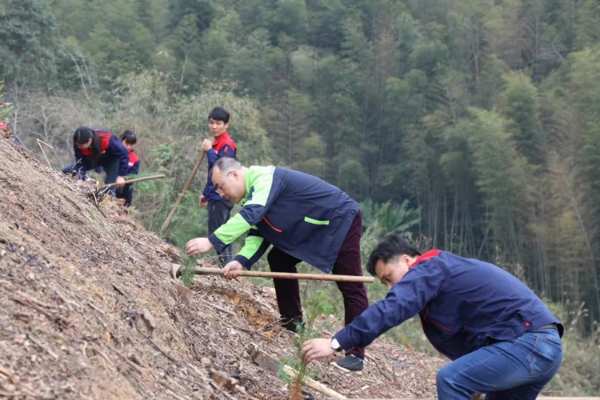 十大品牌壮象努力践行 爱绿 植绿 护绿