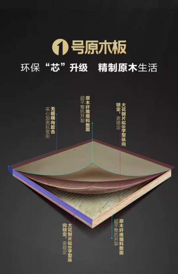 进击2022|大王椰聚势腾飞，筑梦未来