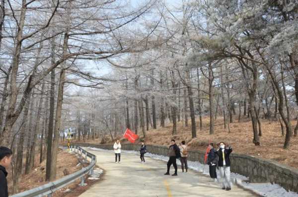 群豪木业丨山登绝顶我为峰