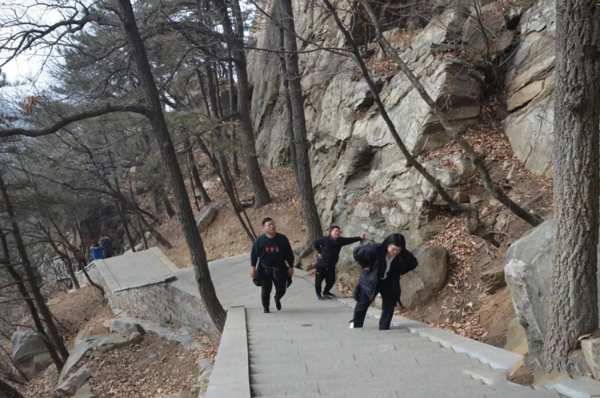 群豪木业丨山登绝顶我为峰