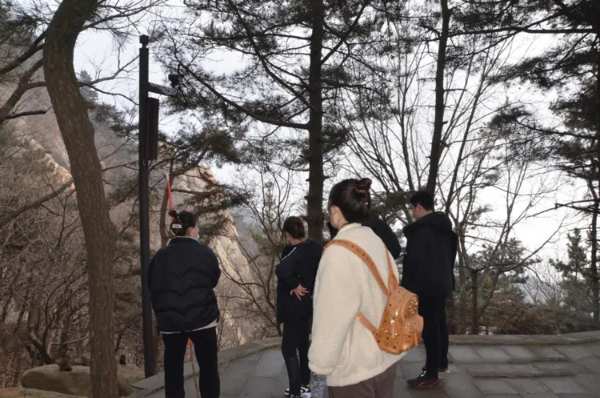 群豪木业丨山登绝顶我为峰