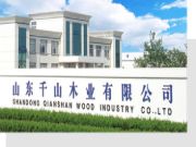 专注品质服务 千山板材开拓创新扬帆起航