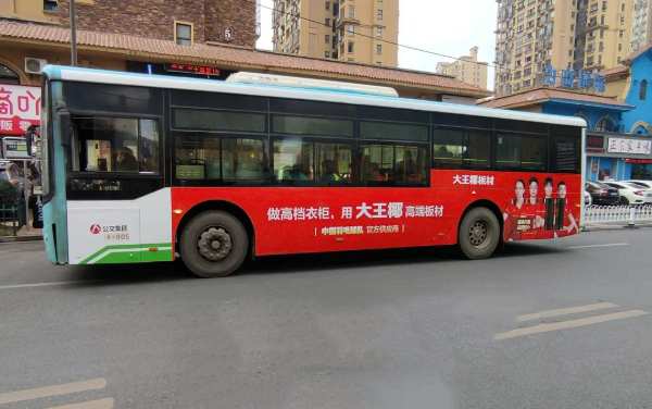 聚势南昌 展翼腾飞丨大王椰全新国羽形象燃动南昌城！
