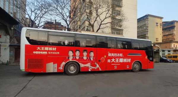 聚势南昌 展翼腾飞丨大王椰全新国羽形象燃动南昌城！