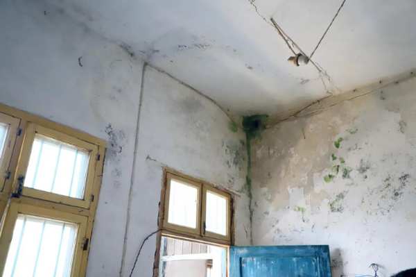 爱心公益丨雪宝为爱筑家，成功援建“团团希望小屋”
