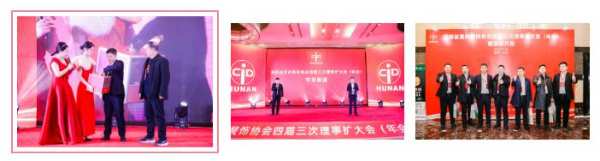 喜报丨匠心品质——雪宝荣获年度“优秀装饰材料供应商”