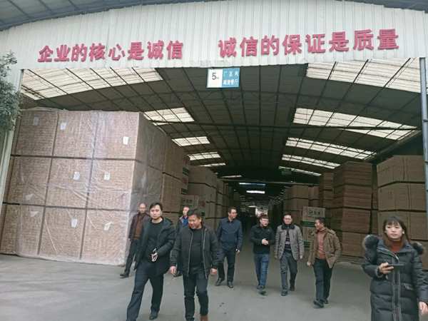 广西隆林县政府考察团到壮象调研