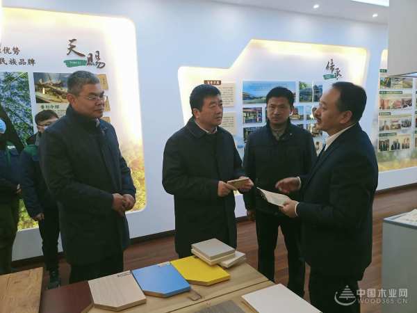 广西壮族自治区副主席方春明一行前往壮象调研