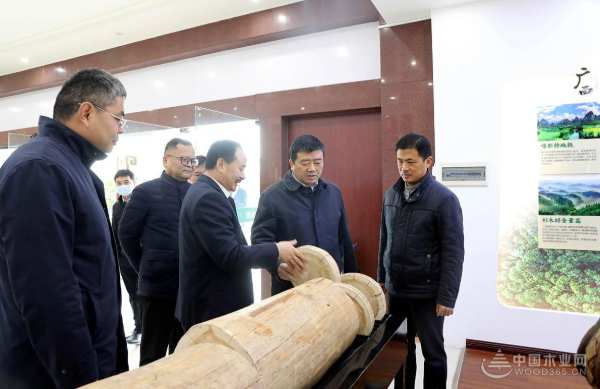 广西壮族自治区副主席方春明一行前往壮象调研