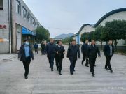 广西壮族自治区副主席方春明一行前往壮象调研