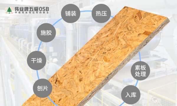 1分钟，带你了解最火的“伟业牌五极OSB板”