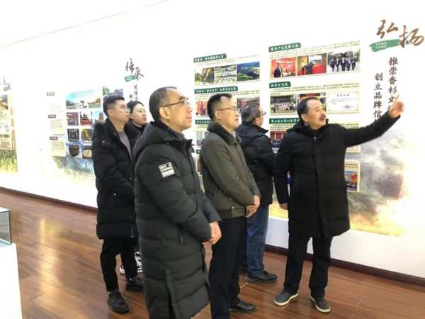 柳州市工商联领导前往壮象调研