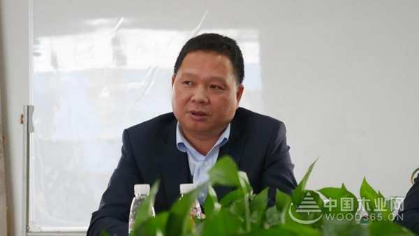 政策引领，贯彻落实|伟新集团党委认真传达学习中央经济工作会议精神