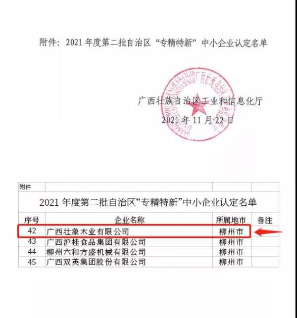 进无止境  壮象获评2021年广西“专精特新”企业